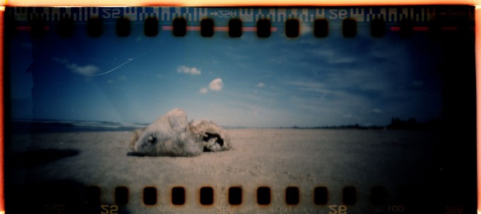 Roll-5-Frame-3