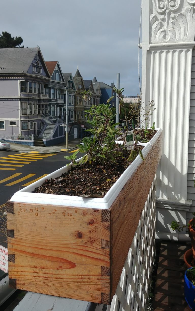 Redwood Planter Boxes, the Sequel